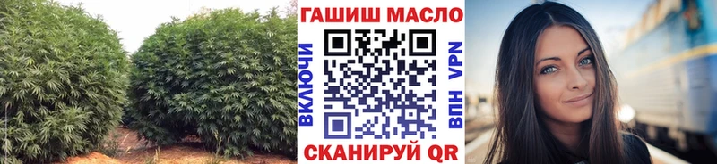 Дистиллят ТГК гашишное масло OMG ONION Клин